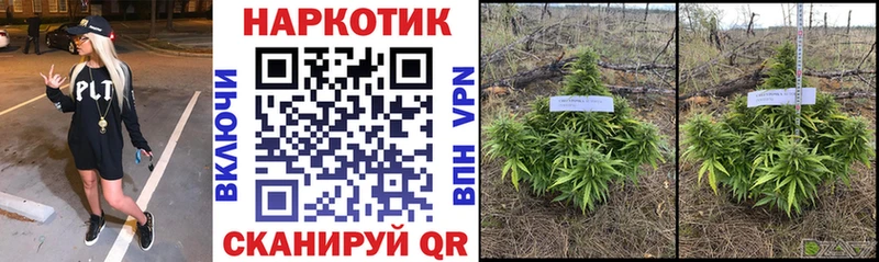 Купить закладку Гашиш  Амфетамин  Лсд 25  A PVP  Мефедрон  Бирюсинск