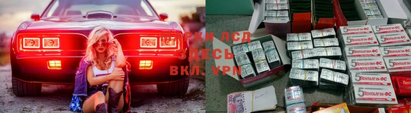 мяу мяу мука Медвежьегорск