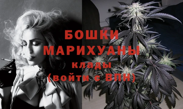 PSILOCYBIN Медногорск