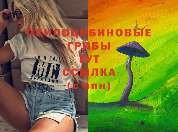 мяу мяу мука Медвежьегорск