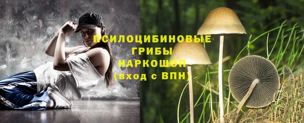 мдпв Арсеньев
