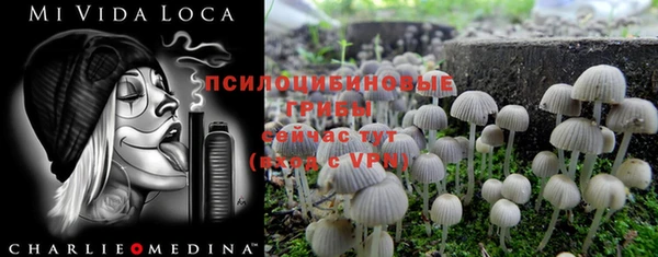 прущий лед Мегион