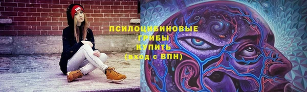 СК Армянск