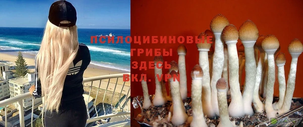 прущий лед Мегион